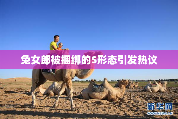 兔女郎被捆绑的S形态引发热议