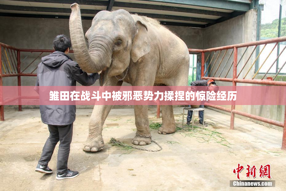 雏田在战斗中被邪恶势力揉捏的惊险经历