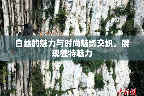 白丝的魅力与时尚魅影交织，展现独特魅力