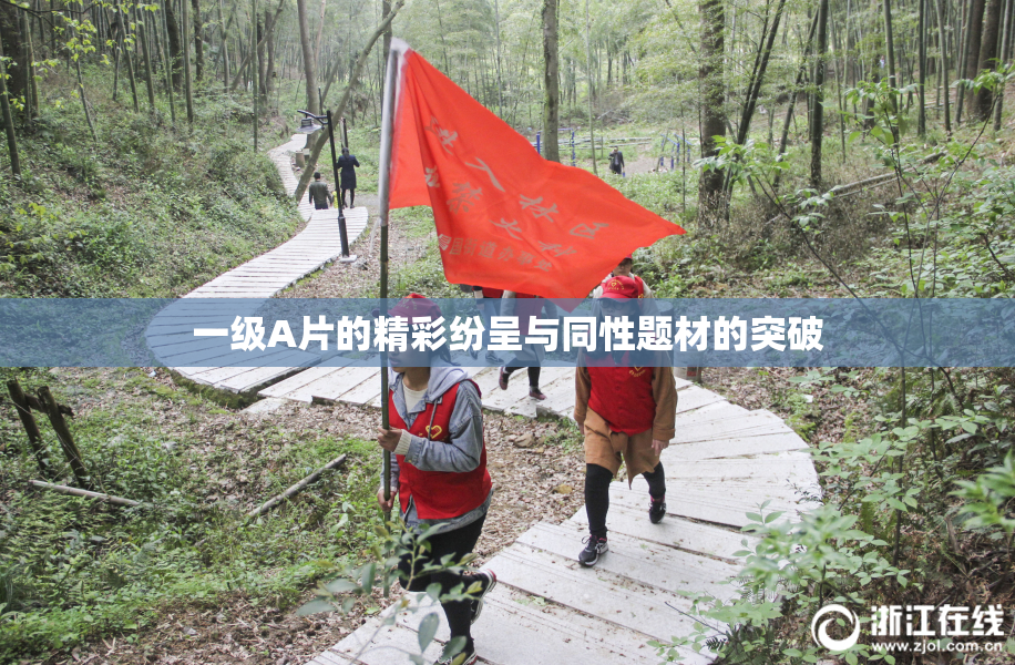 一级A片的精彩纷呈与同性题材的突破