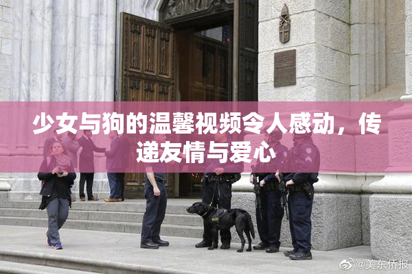少女与狗的温馨视频令人感动，传递友情与爱心