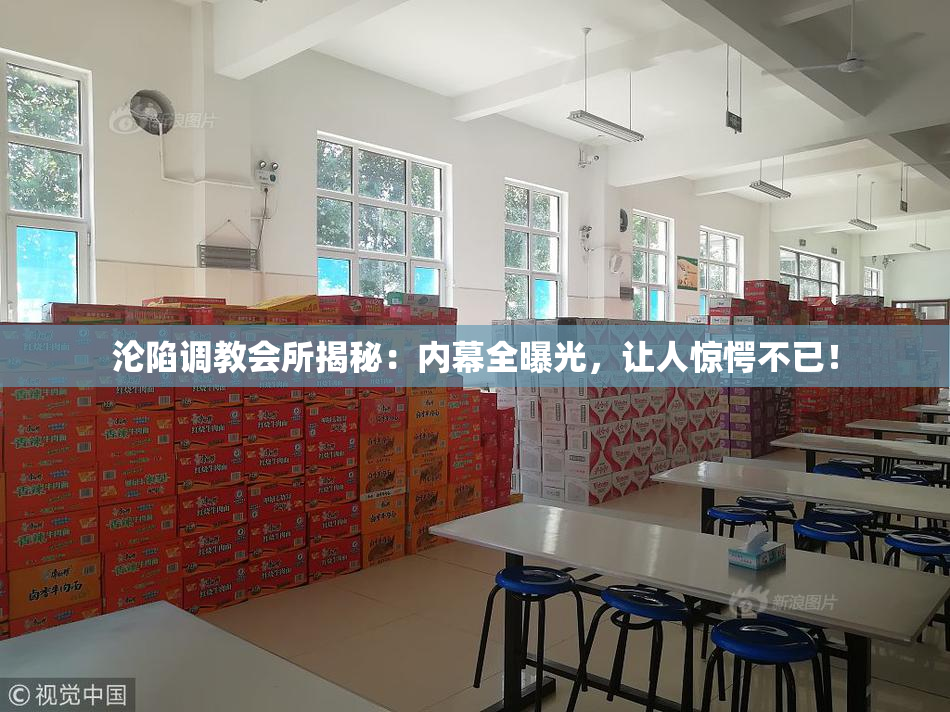 沦陷调教会所揭秘：内幕全曝光，让人惊愕不已！