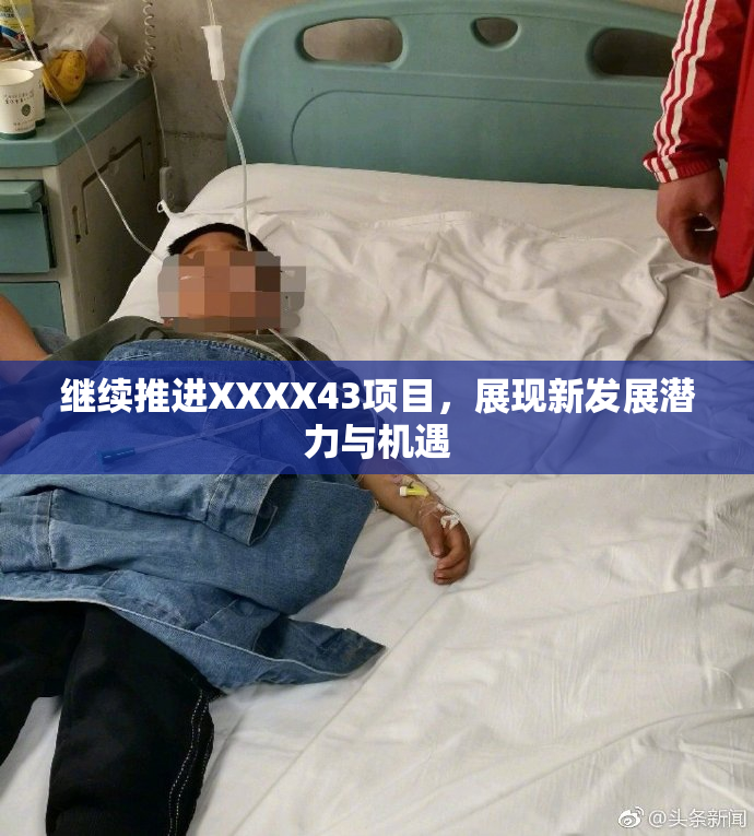 继续推进XXXX43项目，展现新发展潜力与机遇