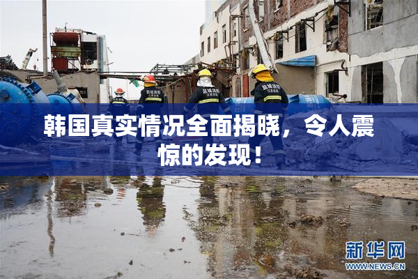 韩国真实情况全面揭晓，令人震惊的发现！