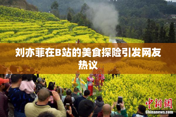 刘亦菲在B站的美食探险引发网友热议