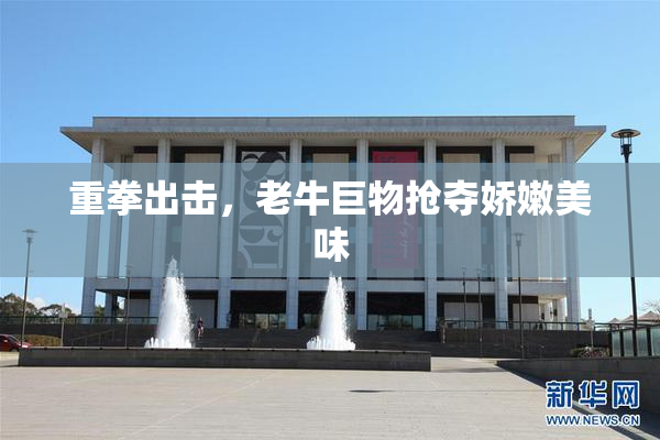 重拳出击，老牛巨物抢夺娇嫩美味