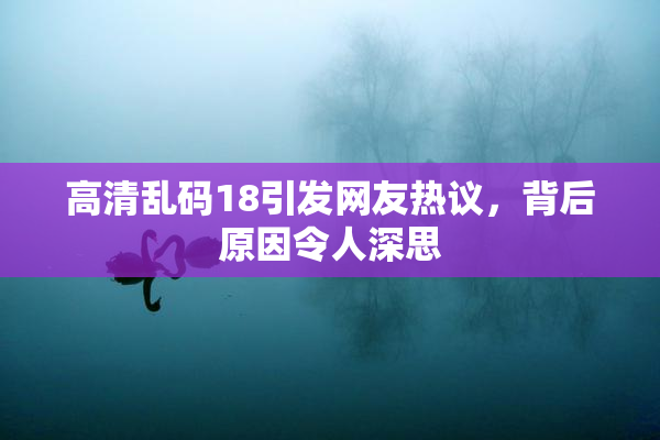 高清乱码18引发网友热议，背后原因令人深思