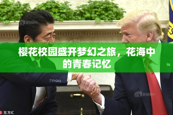 樱花校园盛开梦幻之旅，花海中的青春记忆