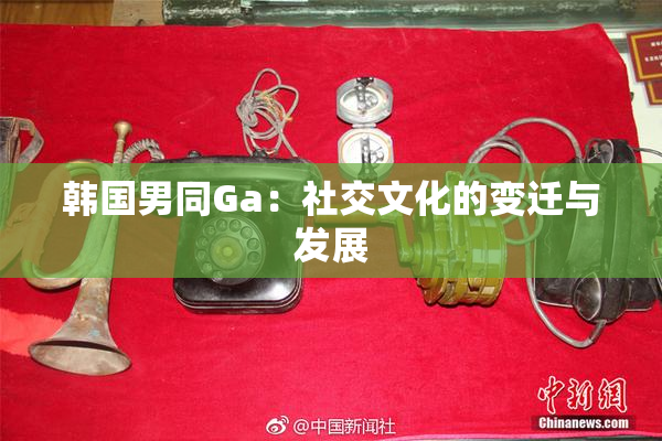 韩国男同Ga：社交文化的变迁与发展