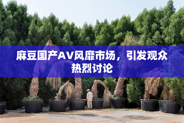 麻豆国产AV风靡市场，引发观众热烈讨论