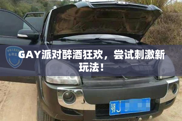 GAY派对醉酒狂欢，尝试刺激新玩法！