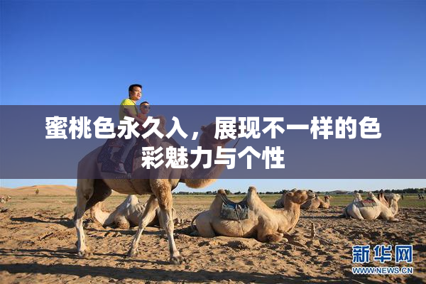 蜜桃色永久入，展现不一样的色彩魅力与个性