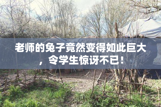老师的兔子竟然变得如此巨大，令学生惊讶不已！