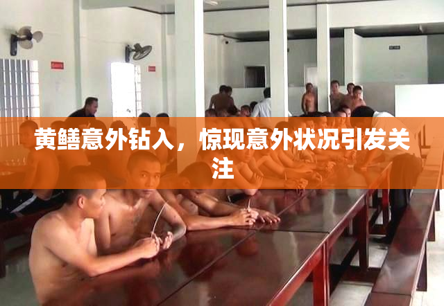 黄鳝意外钻入，惊现意外状况引发关注