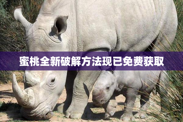 蜜桃全新破解方法现已免费获取