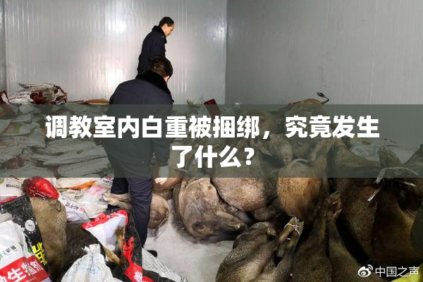 调教室内白重被捆绑，究竟发生了什么？