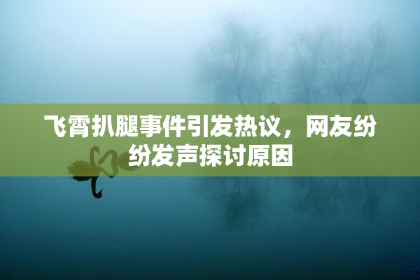 飞霄扒腿事件引发热议，网友纷纷发声探讨原因