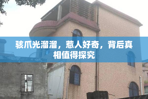 骇爪光溜溜，惹人好奇，背后真相值得探究