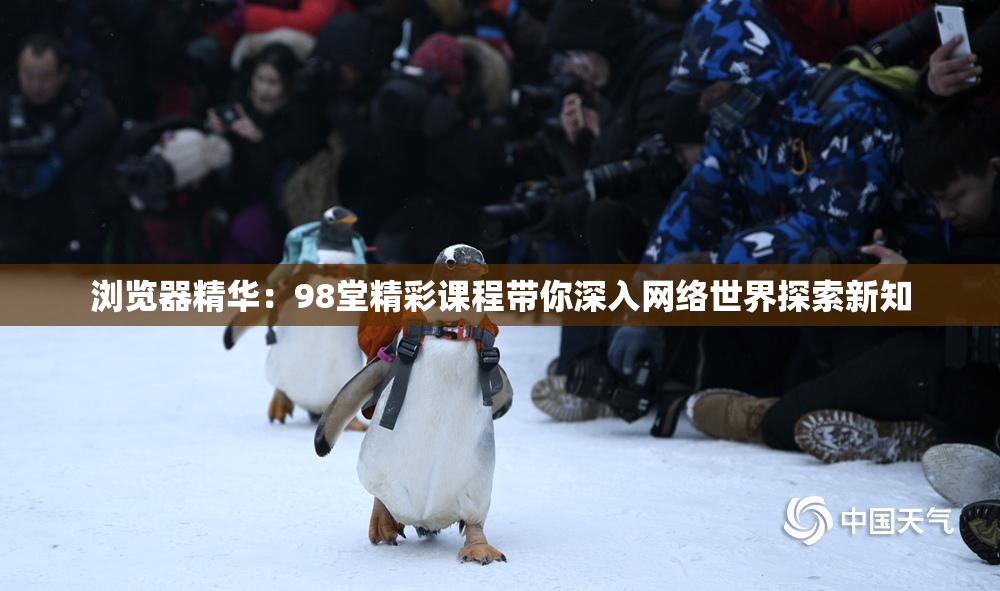 浏览器精华：98堂精彩课程带你深入网络世界探索新知
