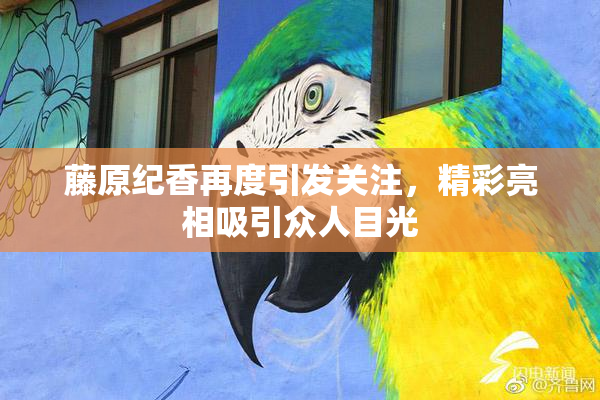 藤原纪香再度引发关注，精彩亮相吸引众人目光