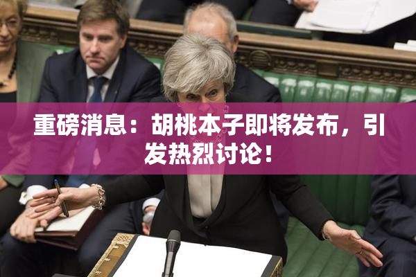 重磅消息：胡桃本子即将发布，引发热烈讨论！