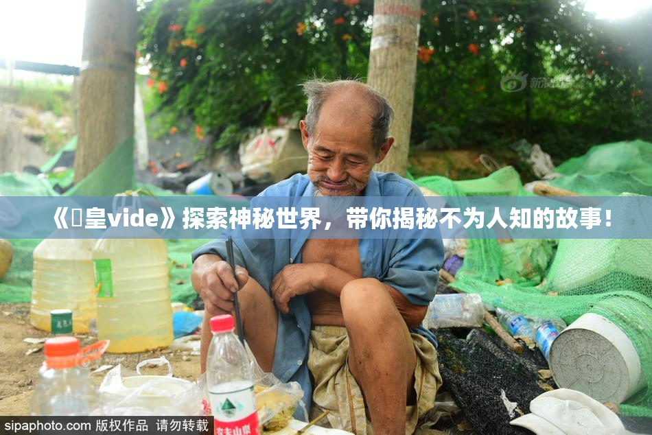 《嘼皇vide》探索神秘世界，带你揭秘不为人知的故事！