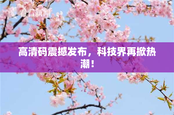高清码震撼发布，科技界再掀热潮！