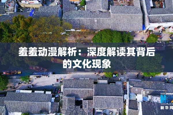羞羞动漫解析：深度解读其背后的文化现象