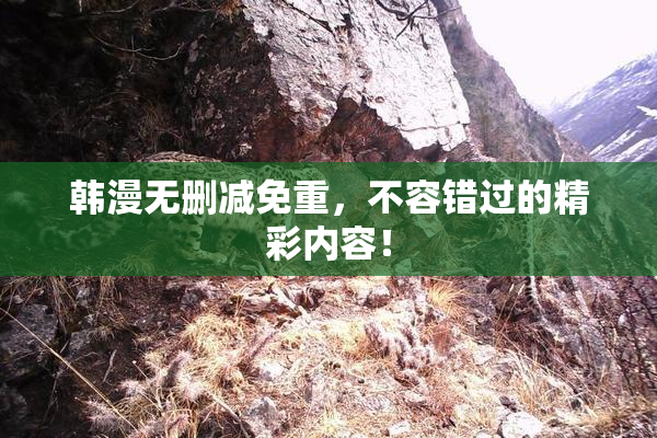 韩漫无删减免重，不容错过的精彩内容！