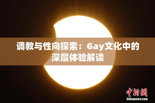 调教与性向探索：Gay文化中的深层体验解读