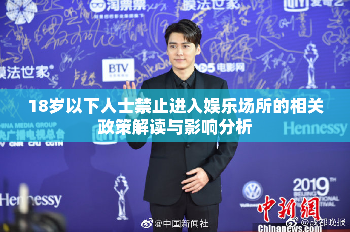 18岁以下人士禁止进入娱乐场所的相关政策解读与影响分析