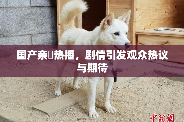 国产亲妺热播，剧情引发观众热议与期待