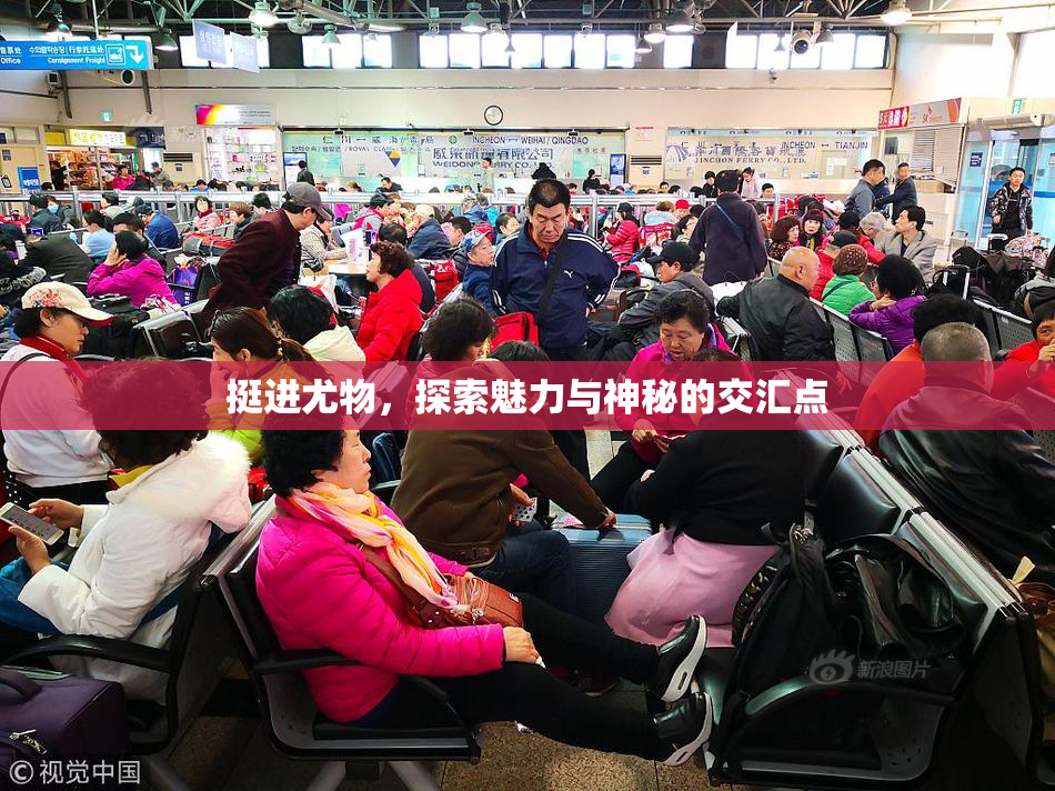 挺进尤物，探索魅力与神秘的交汇点
