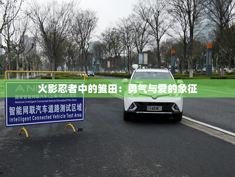 火影忍者中的雏田：勇气与爱的象征