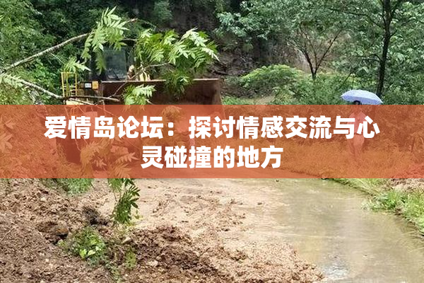 爱情岛论坛：探讨情感交流与心灵碰撞的地方