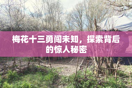 梅花十三勇闯未知，探索背后的惊人秘密