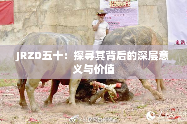 JRZD五十：探寻其背后的深层意义与价值