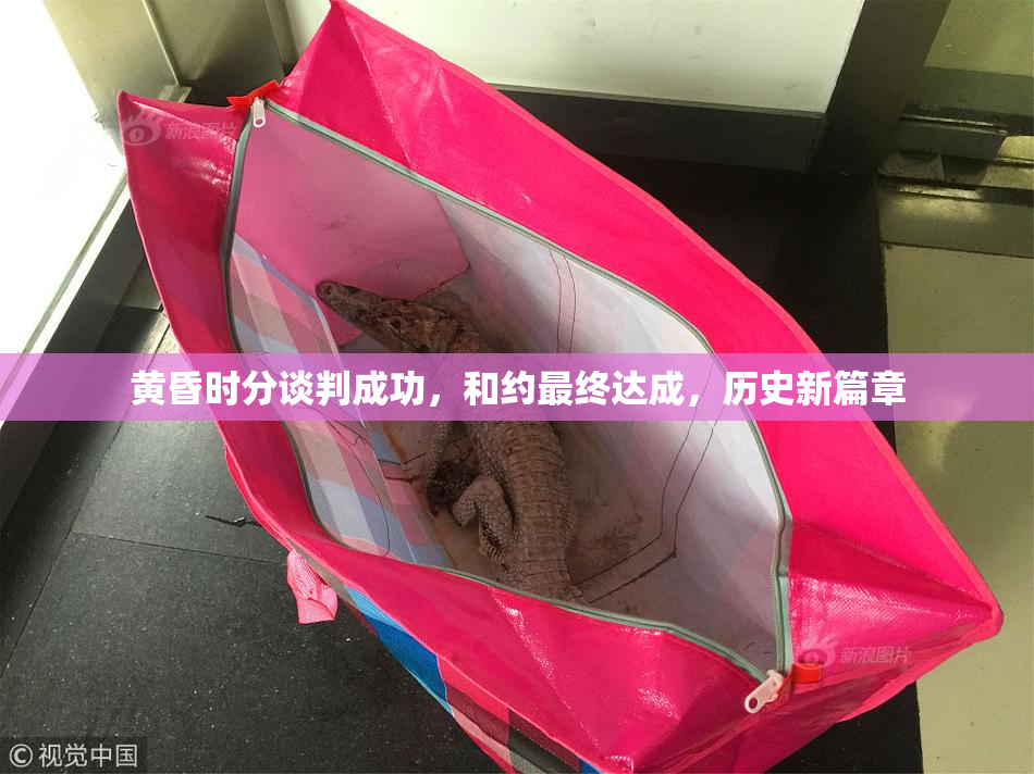黄昏时分谈判成功，和约最终达成，历史新篇章
