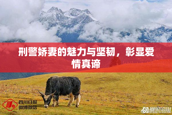 刑警娇妻的魅力与坚韧，彰显爱情真谛