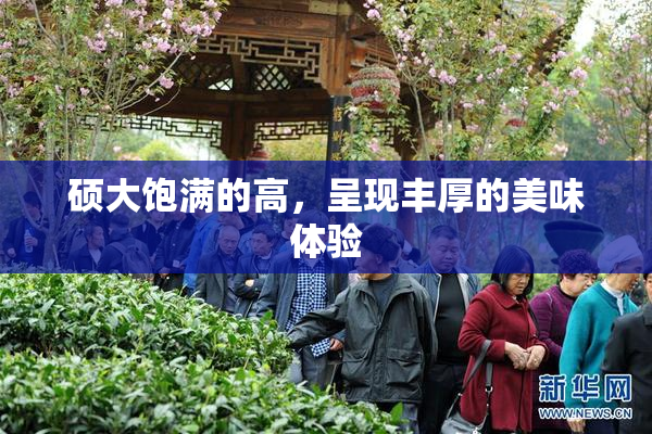 硕大饱满的高，呈现丰厚的美味体验