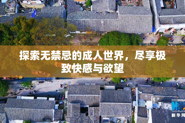 探索无禁忌的成人世界，尽享极致快感与欲望