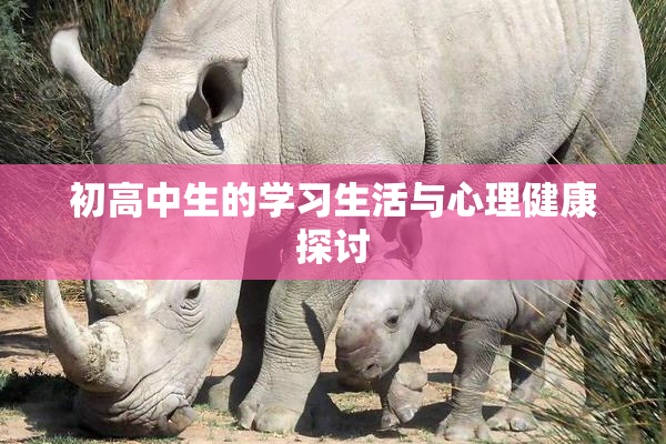 初高中生的学习生活与心理健康探讨