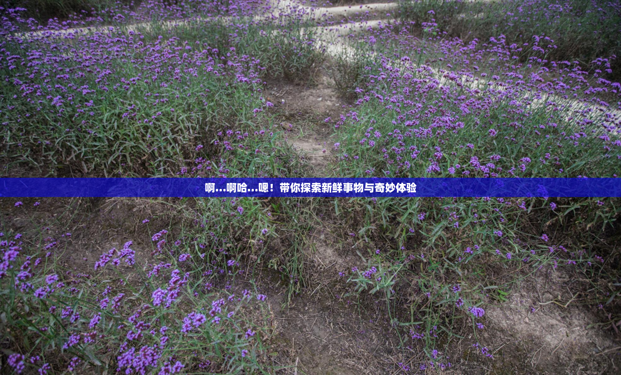 啊…啊哈…嗯！带你探索新鲜事物与奇妙体验