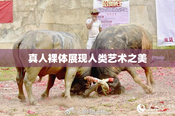 真人裸体展现人类艺术之美