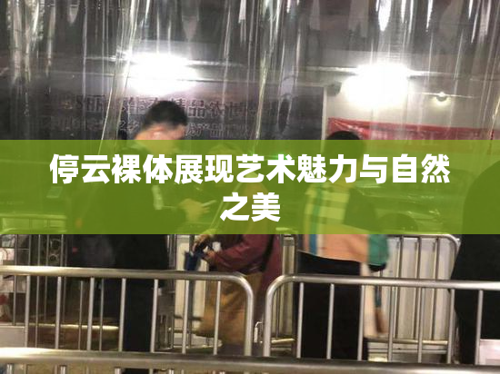 停云裸体展现艺术魅力与自然之美