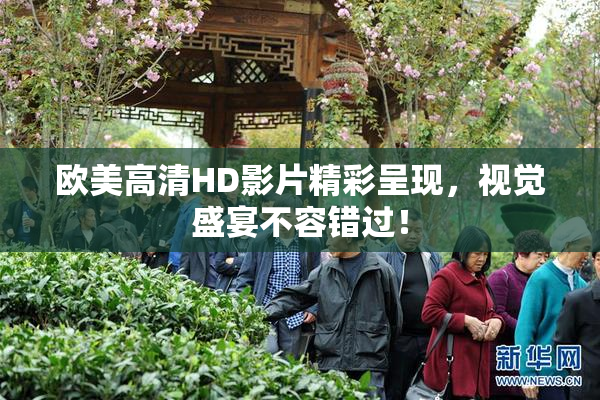 欧美高清HD影片精彩呈现，视觉盛宴不容错过！