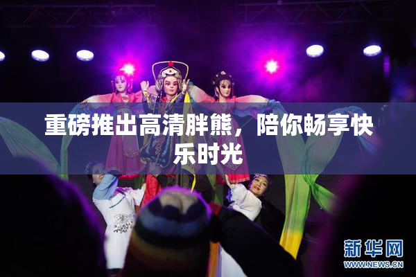 重磅推出高清胖熊，陪你畅享快乐时光