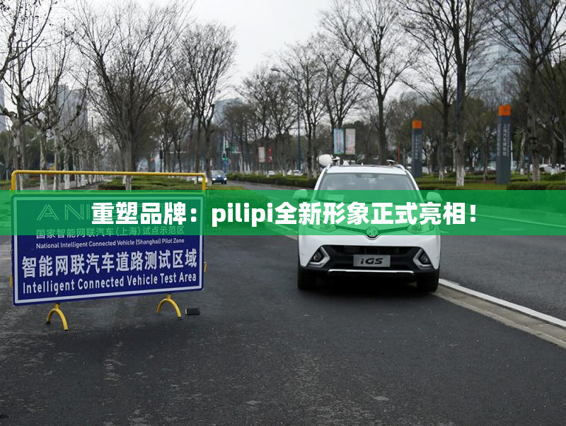 重塑品牌：pilipi全新形象正式亮相！