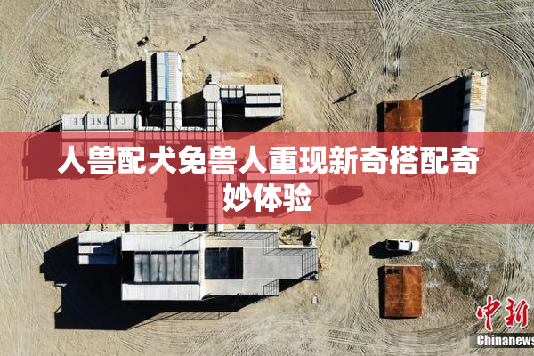 人兽配犬免兽人重现新奇搭配奇妙体验