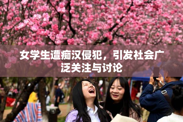 女学生遭痴汉侵犯，引发社会广泛关注与讨论